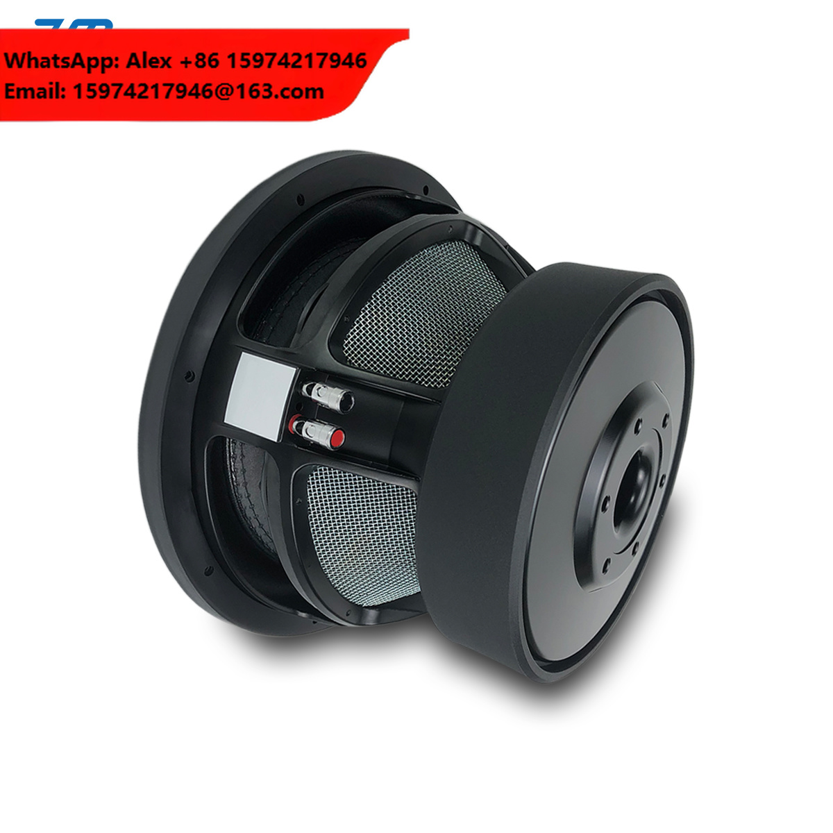 Bass Subwoofer Dubbele 2/4ohm  - Car Subwoofer 12 Inch 1500W recensie en prijs