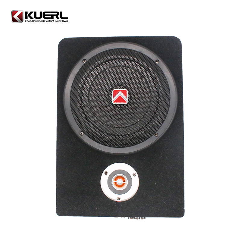 Hot Sale Car Audio Under Seat  - Under Seat Subwoofer Slim 8 Inch recensie en prijs