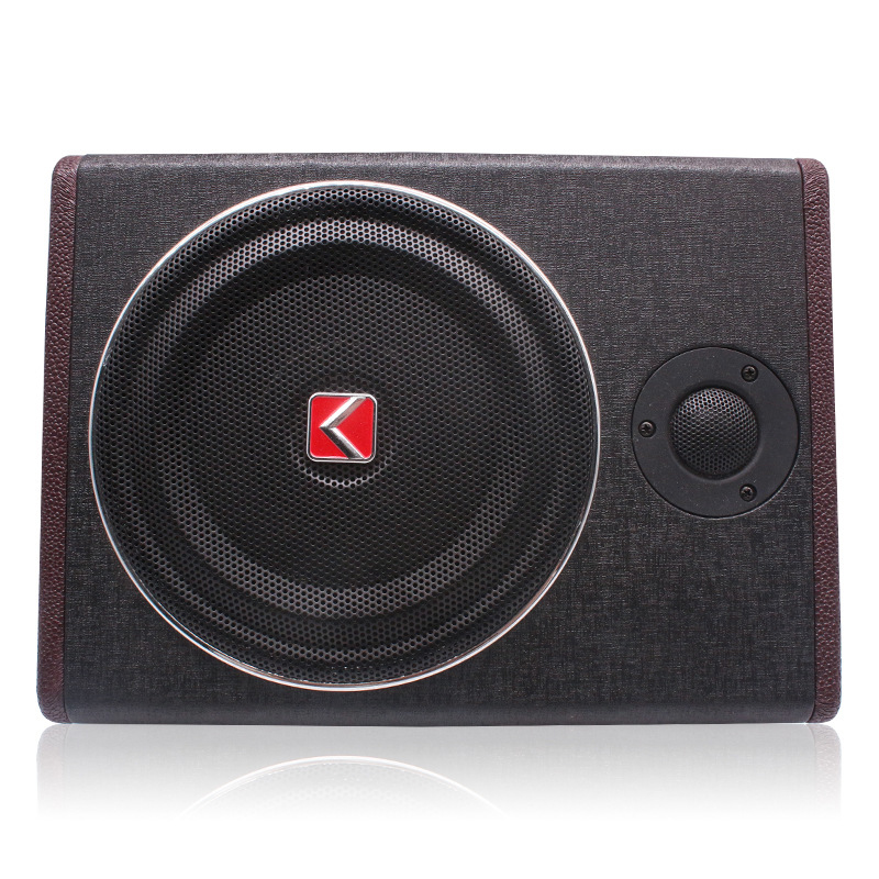 8 inch 12V actieve subwoofer m - Under Seat Subwoofer Slim 8 Inch recensie en prijs