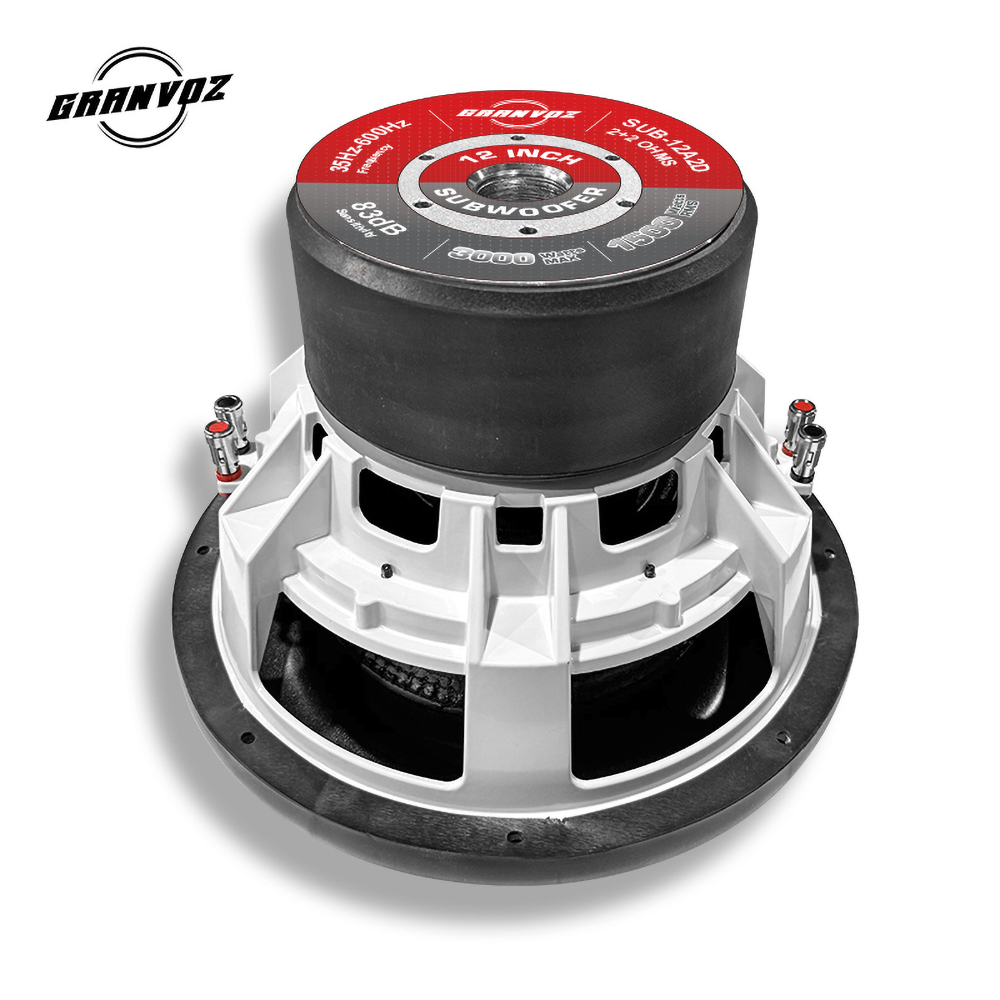 12 Inch Auto Subwoofer 3