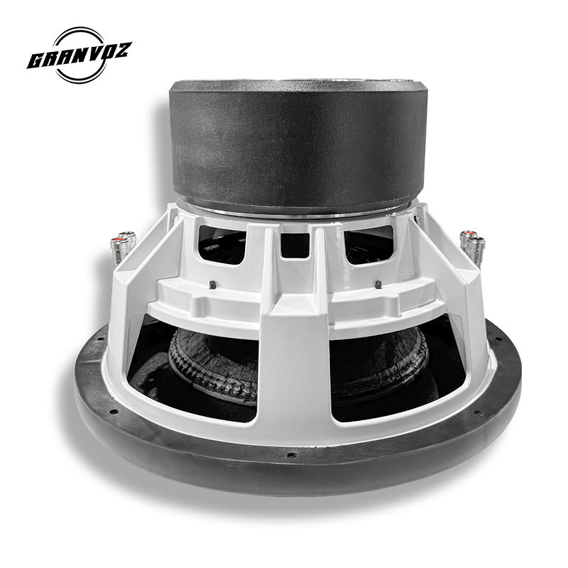 12-inch dubbele 2OHMS autosubw - Car Subwoofer 12 Inch 1500W recensie en prijs