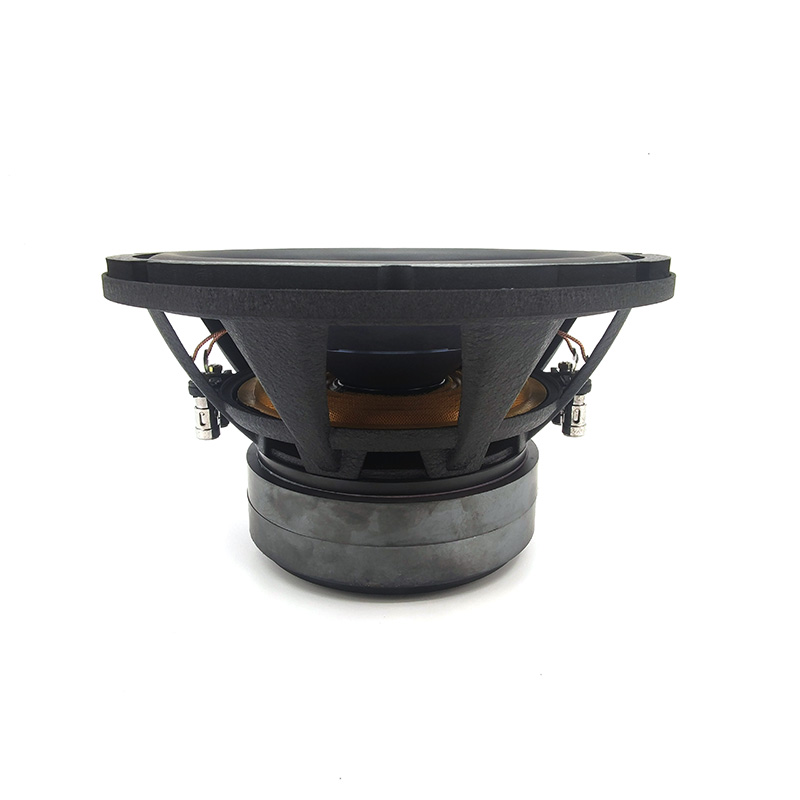 Fabrieksgroothandel Sterke Bas - Car Audio Subwoofer 10 Inch Dvc recensie en prijs